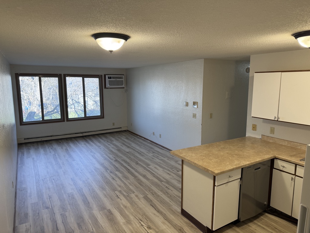1311 6th Avenue South - 302